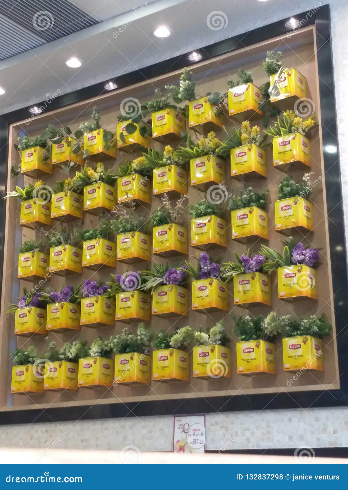 Lipton tin can editorial stock photo. Image of environmental 132837298