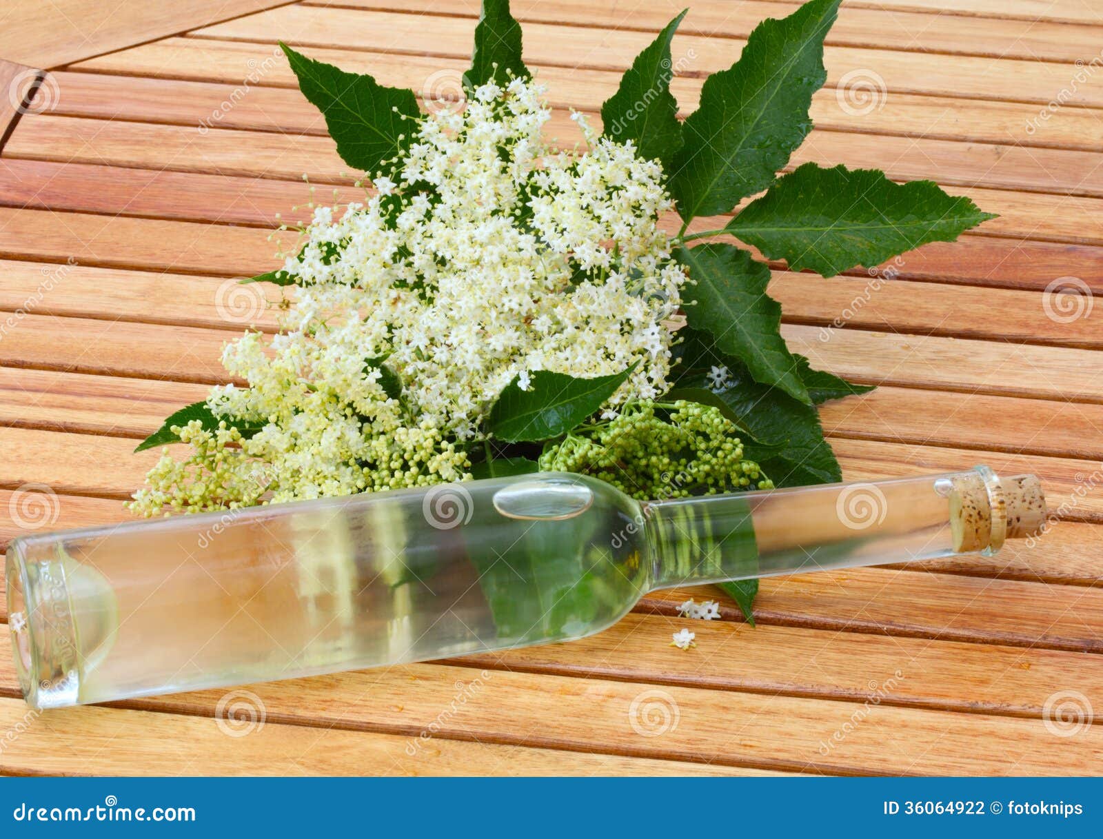 Liqueur De Fleur De Sureau Photo Stock Image Du Elderflower