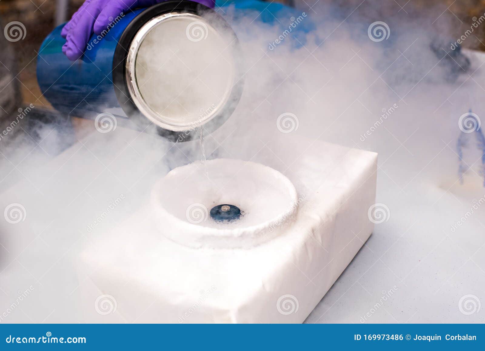 Liquid Nitrogen Poured for an Experiment Stock Photo Image of danger, organic 169973486