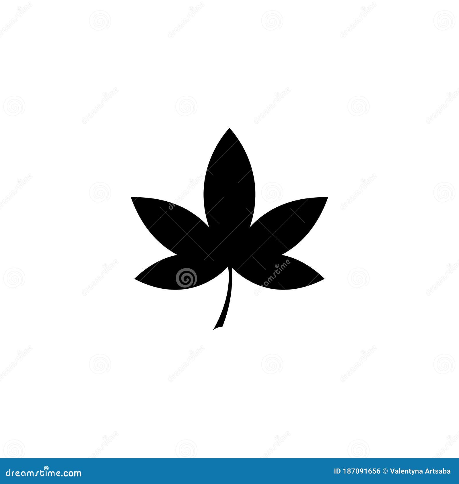 liquidambar leaf, sweetgum, american storax. flat  icon . simple black  on white background. liquidambar,
