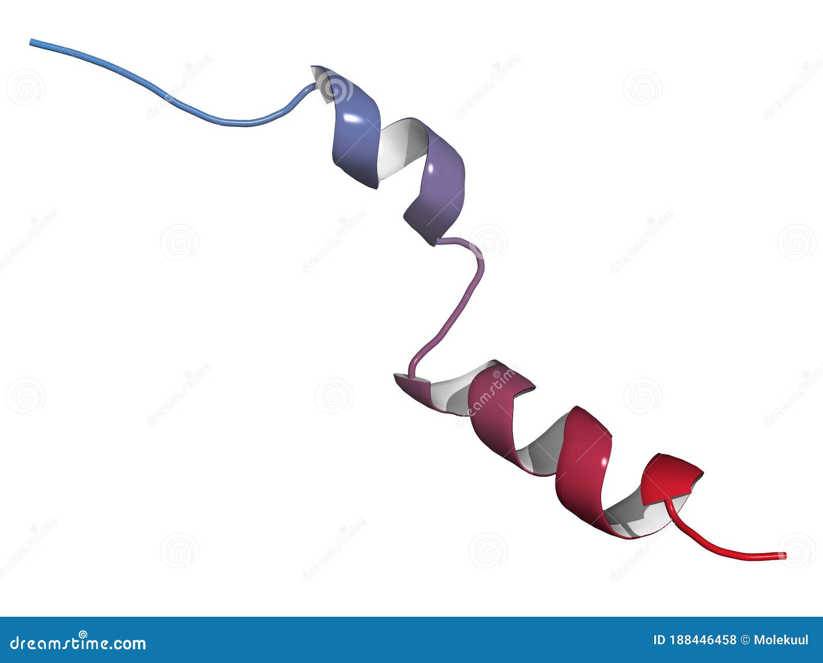 liraglutide peptide drug molecule. agonist of the glucagon-like peptide-1 receptor used in treatment of diabetes and obesity