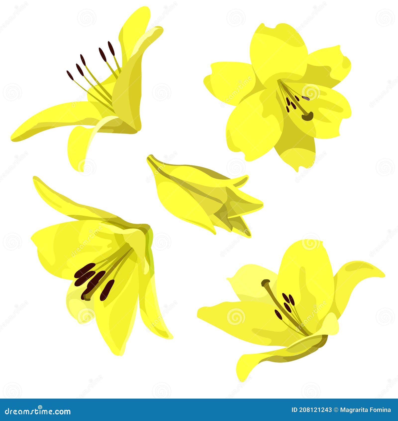 Lirios amarillos ilustración del vector. Ilustración de flor - 208121243