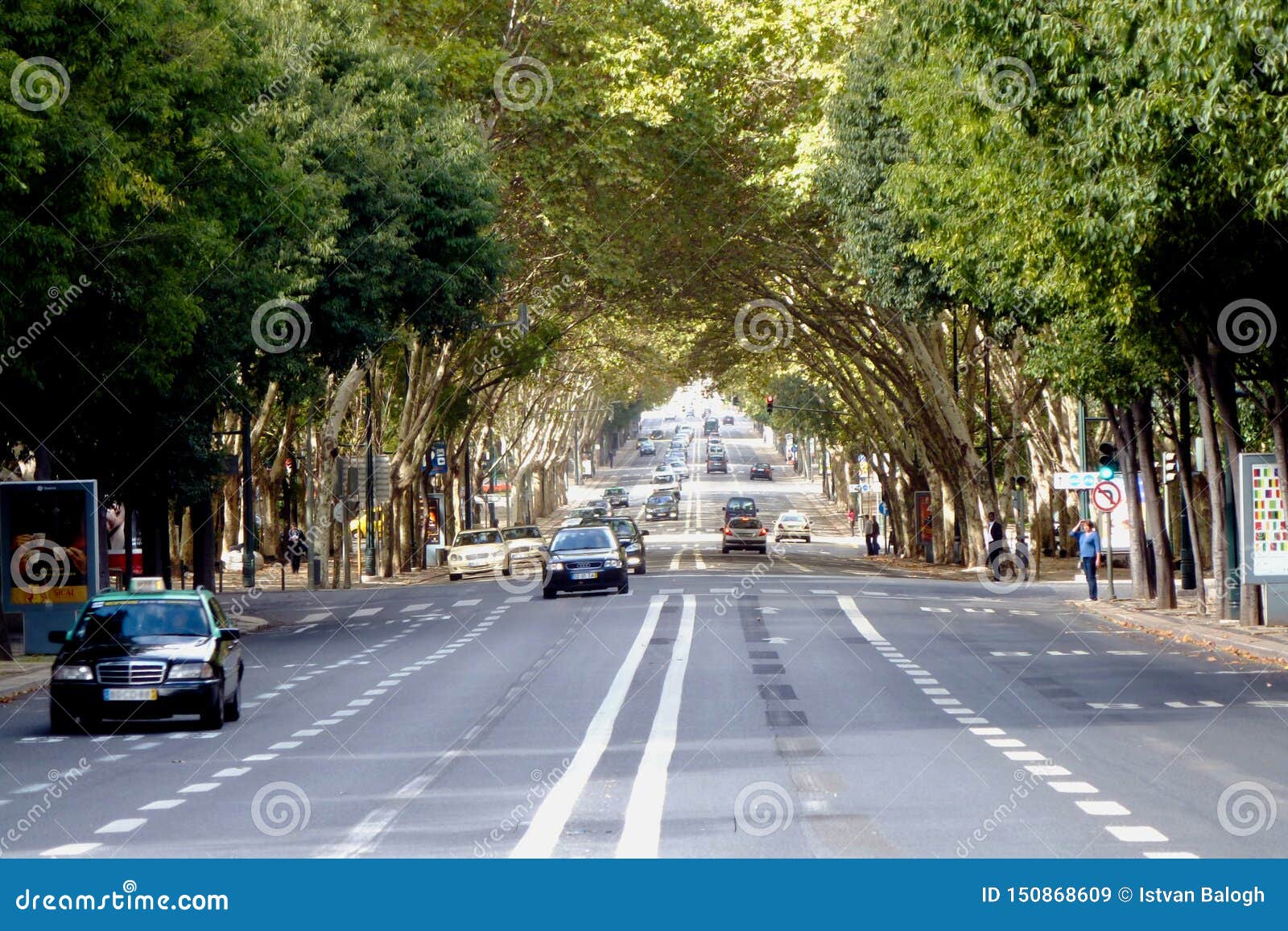 lisbon, portugal: avinada de liberdade avenue with arching green trees over the highway