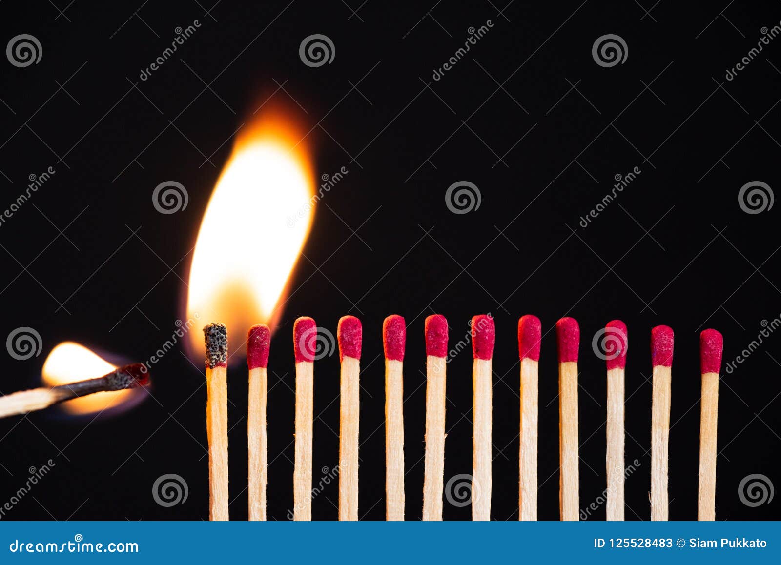 lit match next to a row of unlit matches. the passion of one ignites new ideas, change in others.