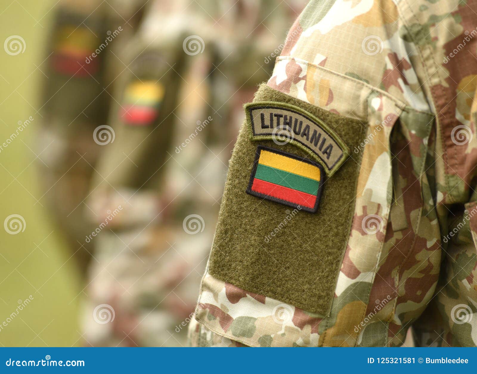 Lithuania Lithuanian Armed Forces Air Force Emblem Patch