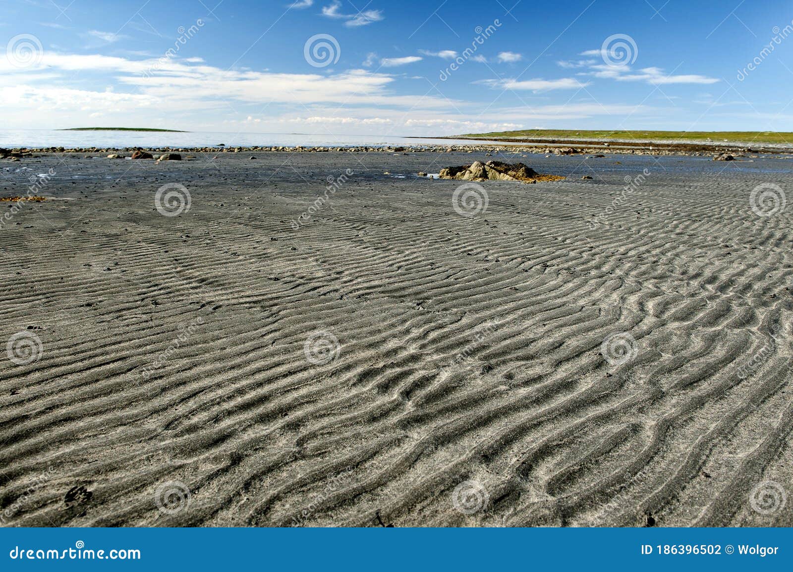litoral lat.litoralis, sandy seabed after low tide