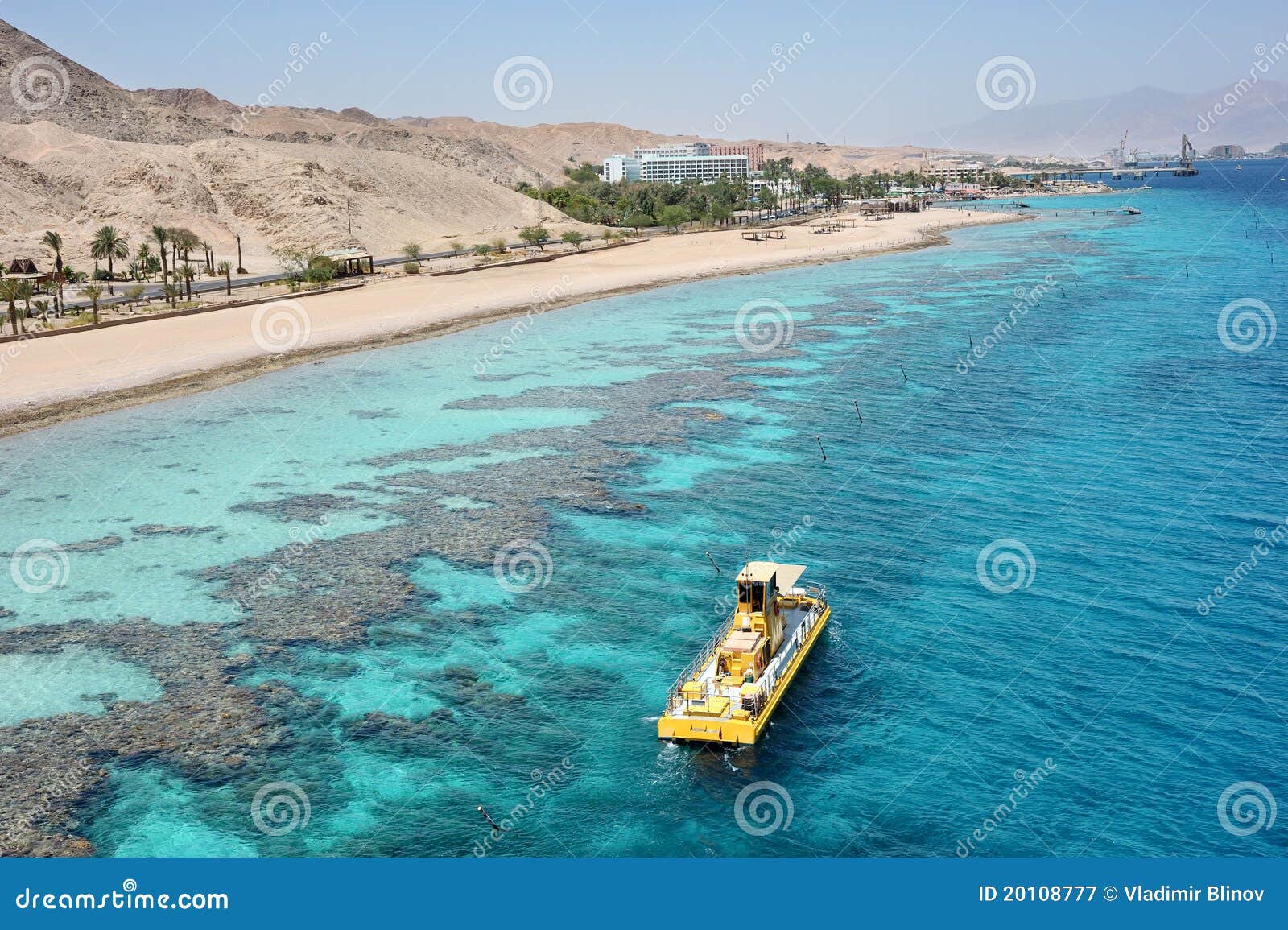 Litorale del Mar Rosso e barriera corallina. Barriera corallina nel golfo del Mar Rosso di Eilat