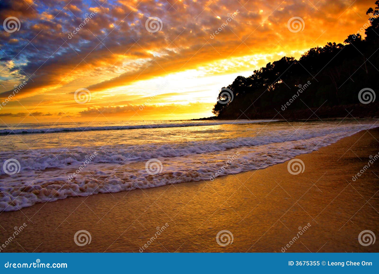 Litorale Del Sole, Australia Immagine Stock Immagine di pacifico