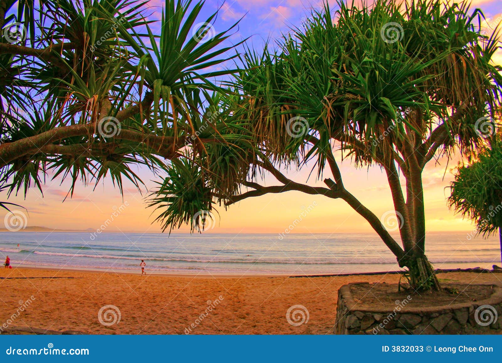 Litorale Del Sole, Australia Immagine Stock Immagine di scenico