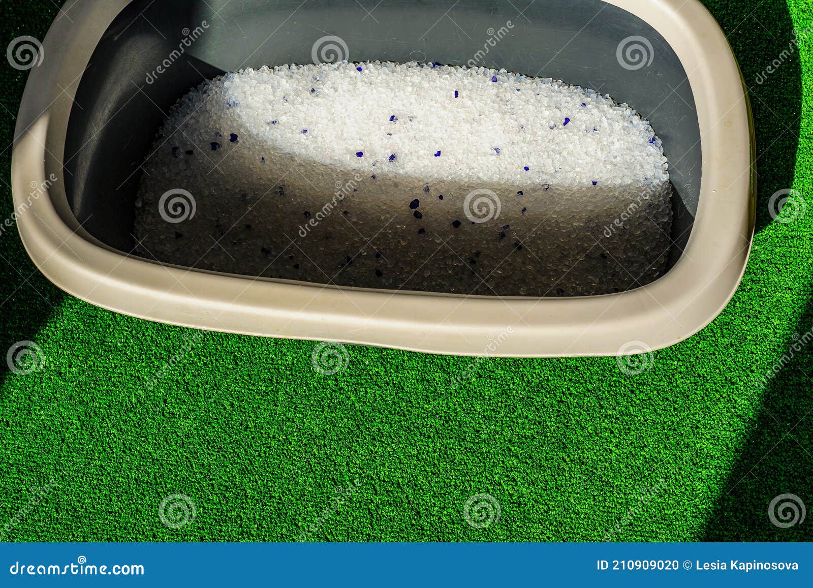 Litter Box with Sand on Bathroom Floor Stock Photo Image of isolated