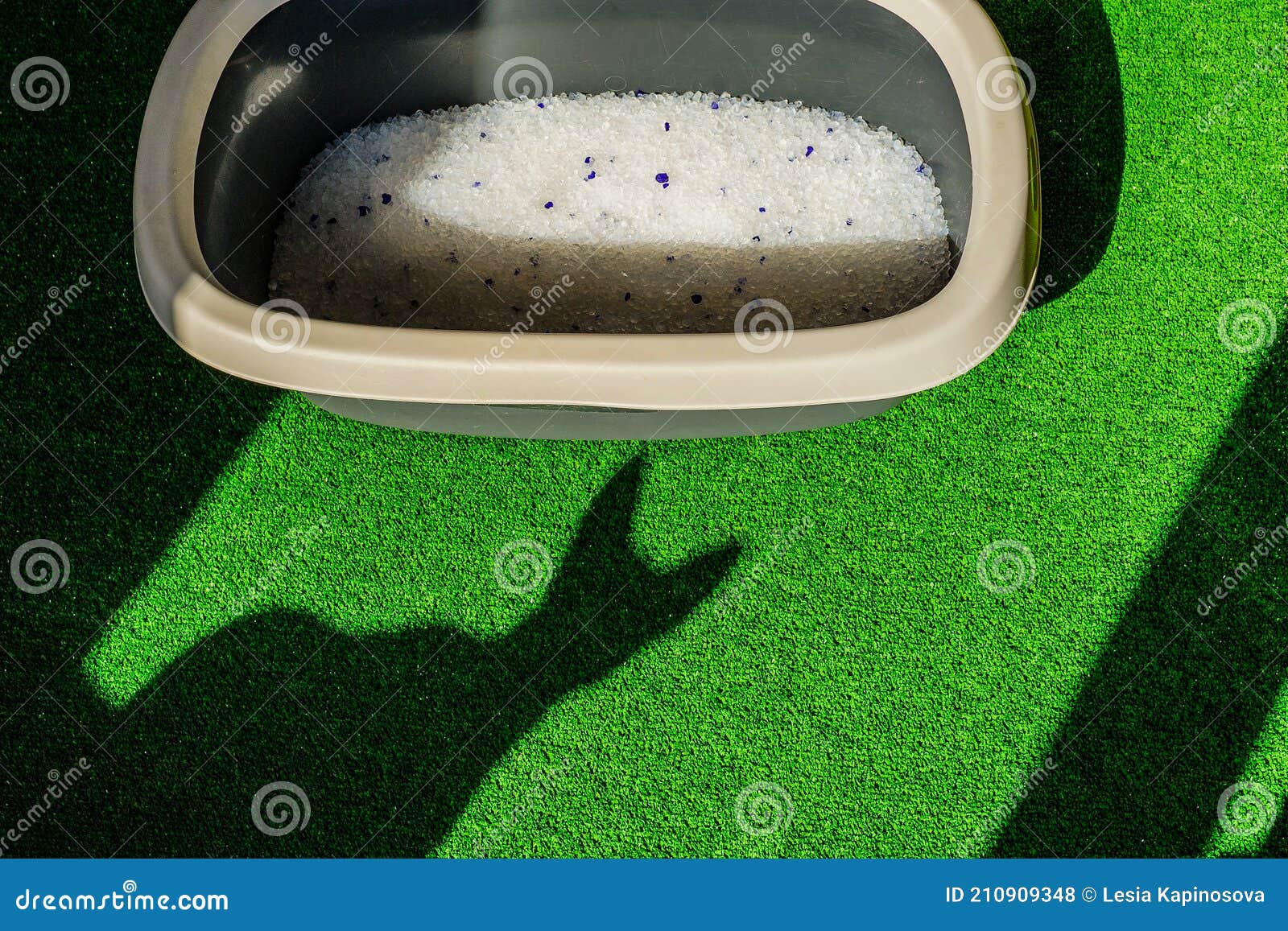 Litter Box with Sand on Bathroom Floor Stock Photo Image of pipi
