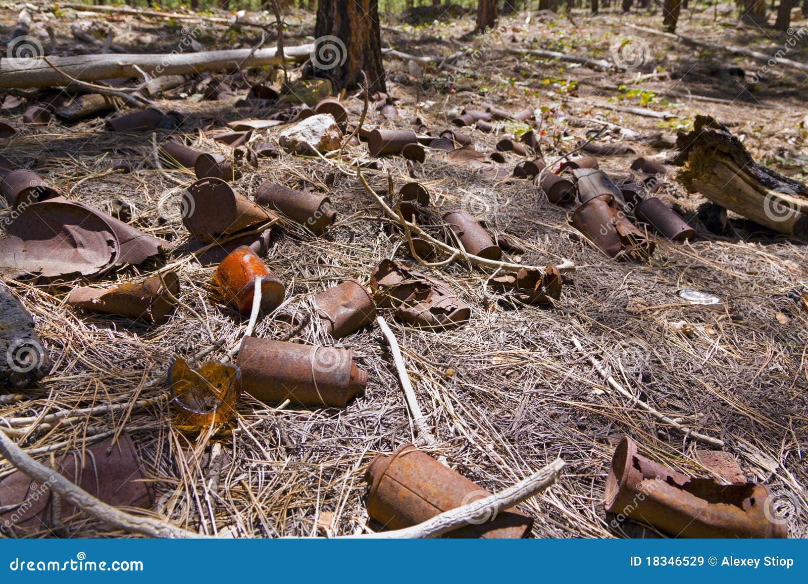 Litter in the Forest stock image. Image of waste, pollution 18346529