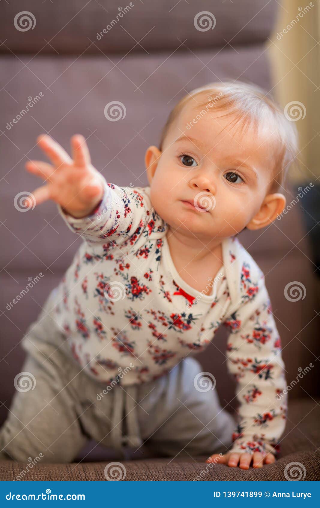 Little Baby Girl Pulling a Hand Stock Image Image of female, child