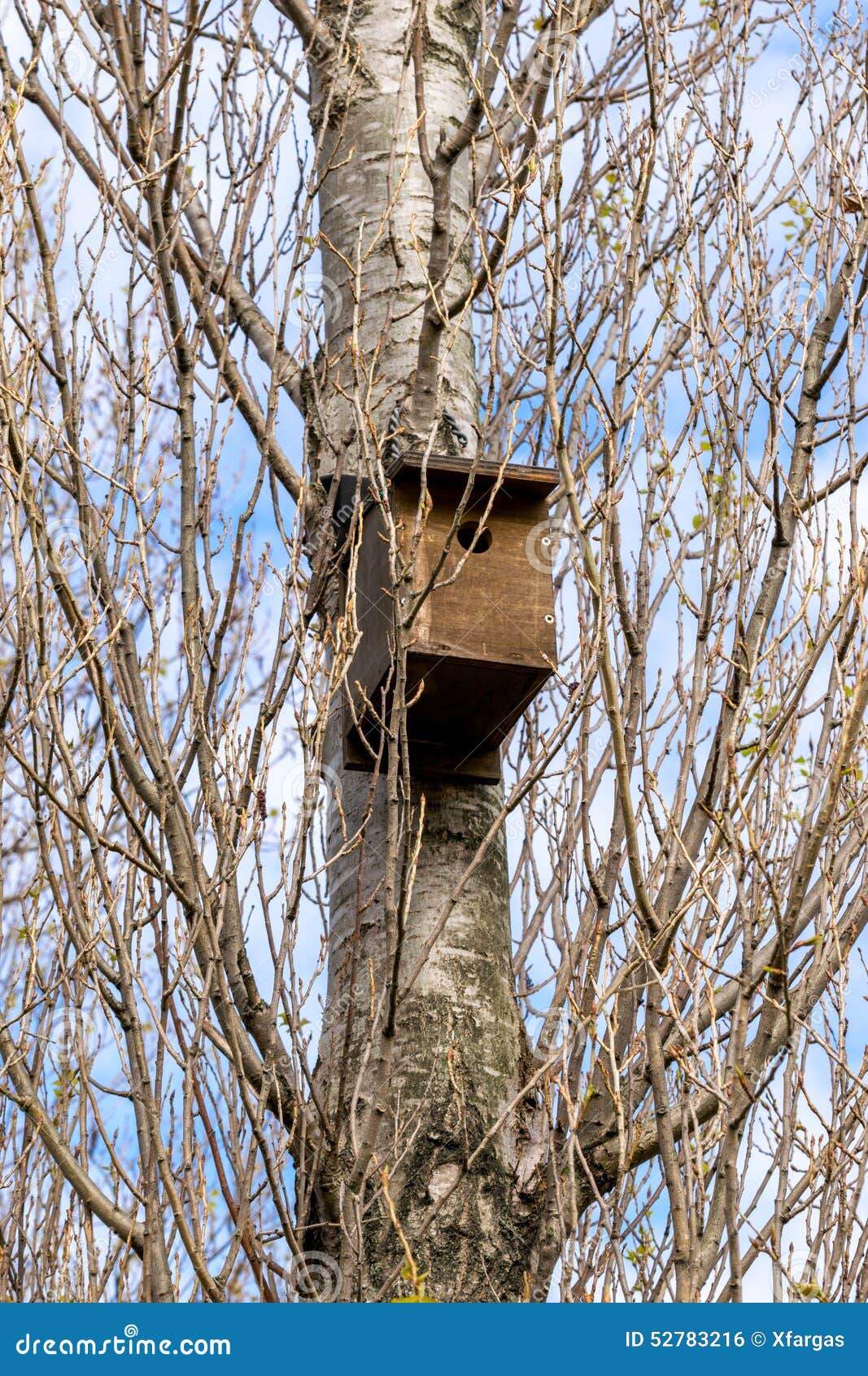Little bird nest house stock photo. Image of nest, birdhouse 52783216