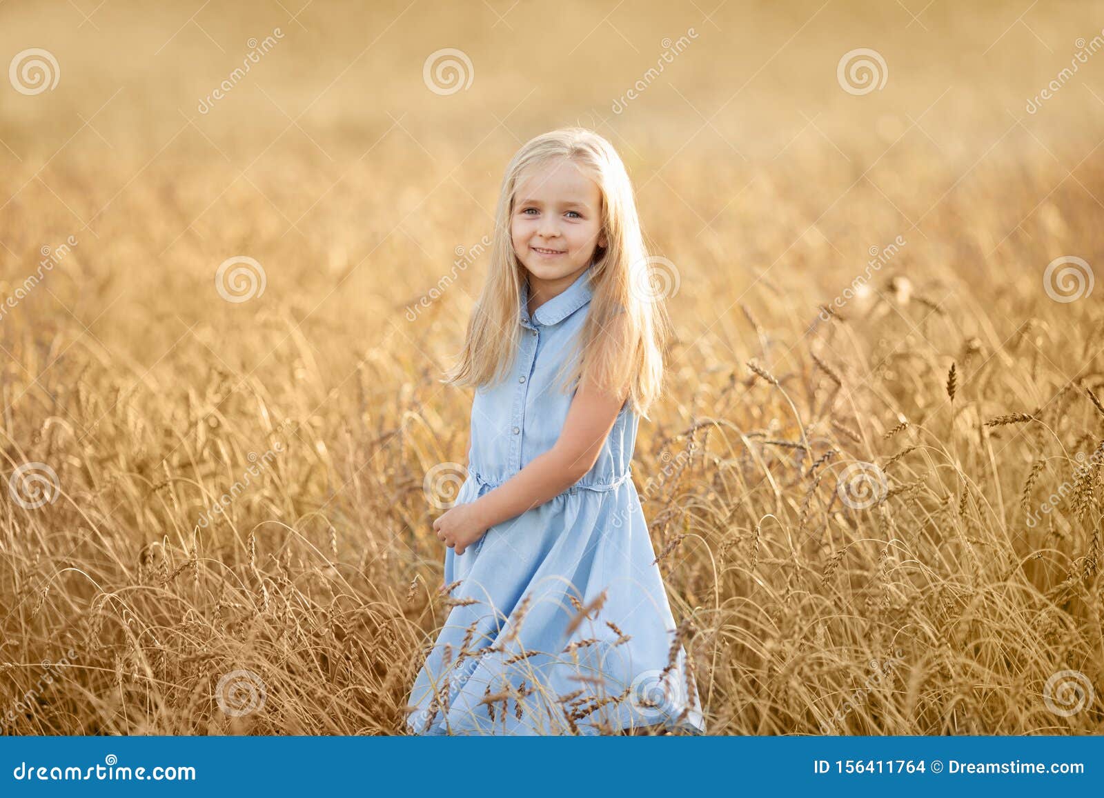 Young Woman In The Wheat Field Stock Photo - Download 