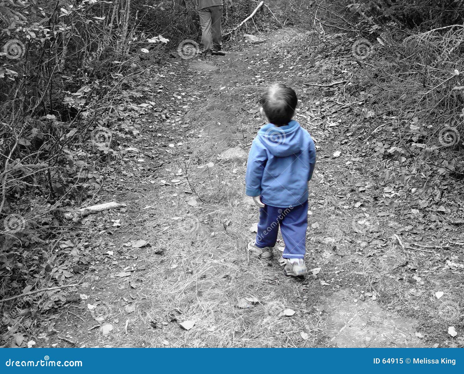 Little Boy Blue stock image. Image of family, trees, cute - 64915