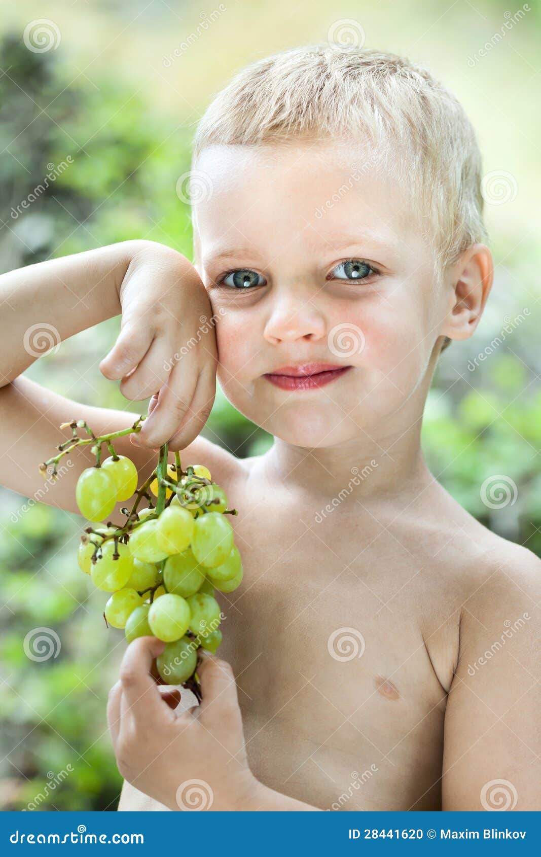 Little Boy with Brush of Grapes Stock Photo Image of fingers, grapes 28441620