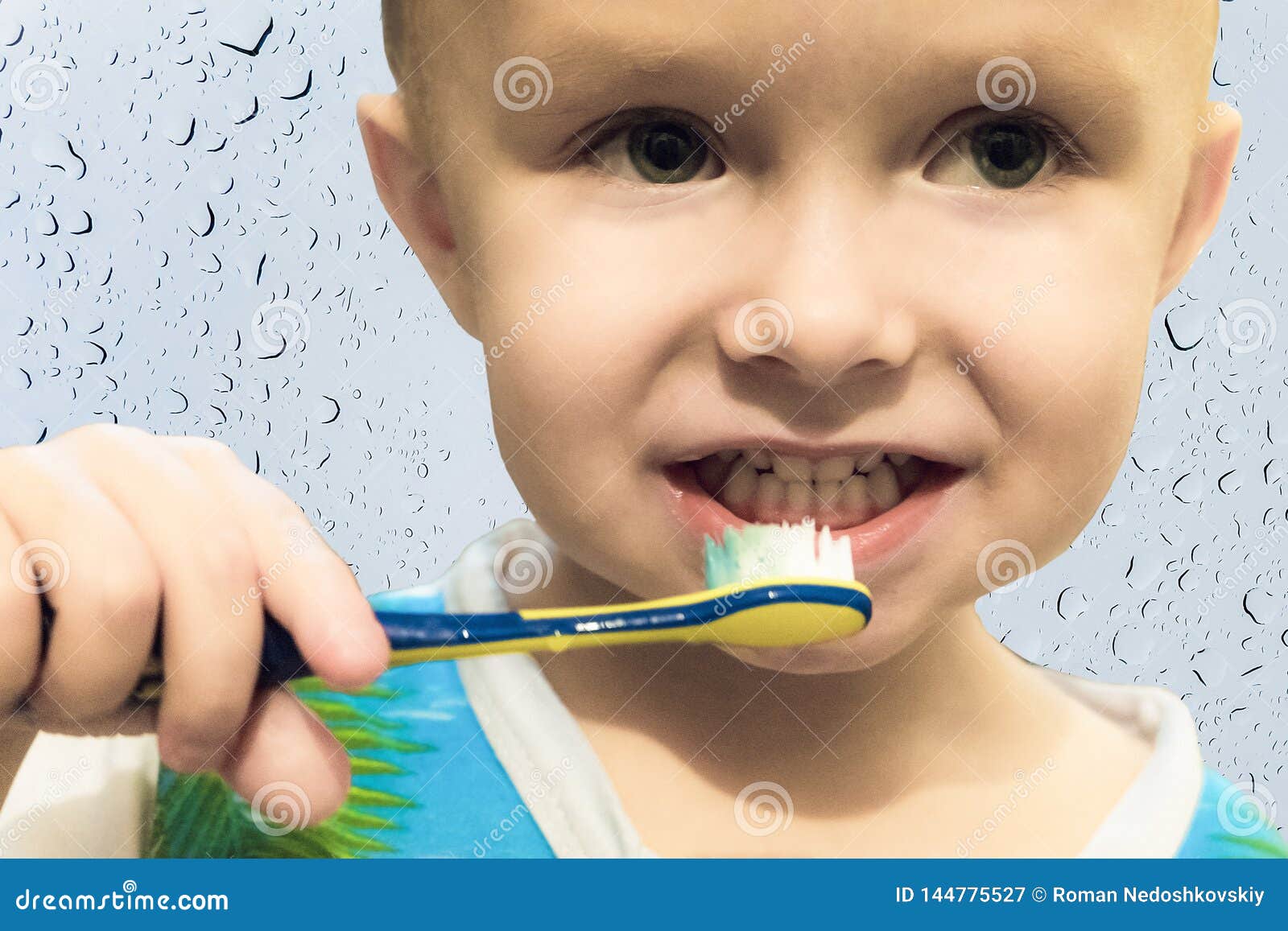 Little Boy Child Brushing His Teeth with a Toothbrush Stock Image Image of brush, portrait