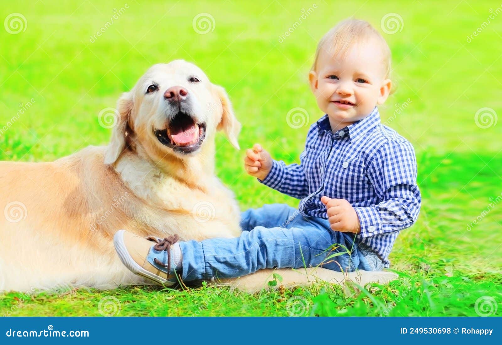 Little Boy Child and Golden Retriever Dog Together on the Grass in the ...