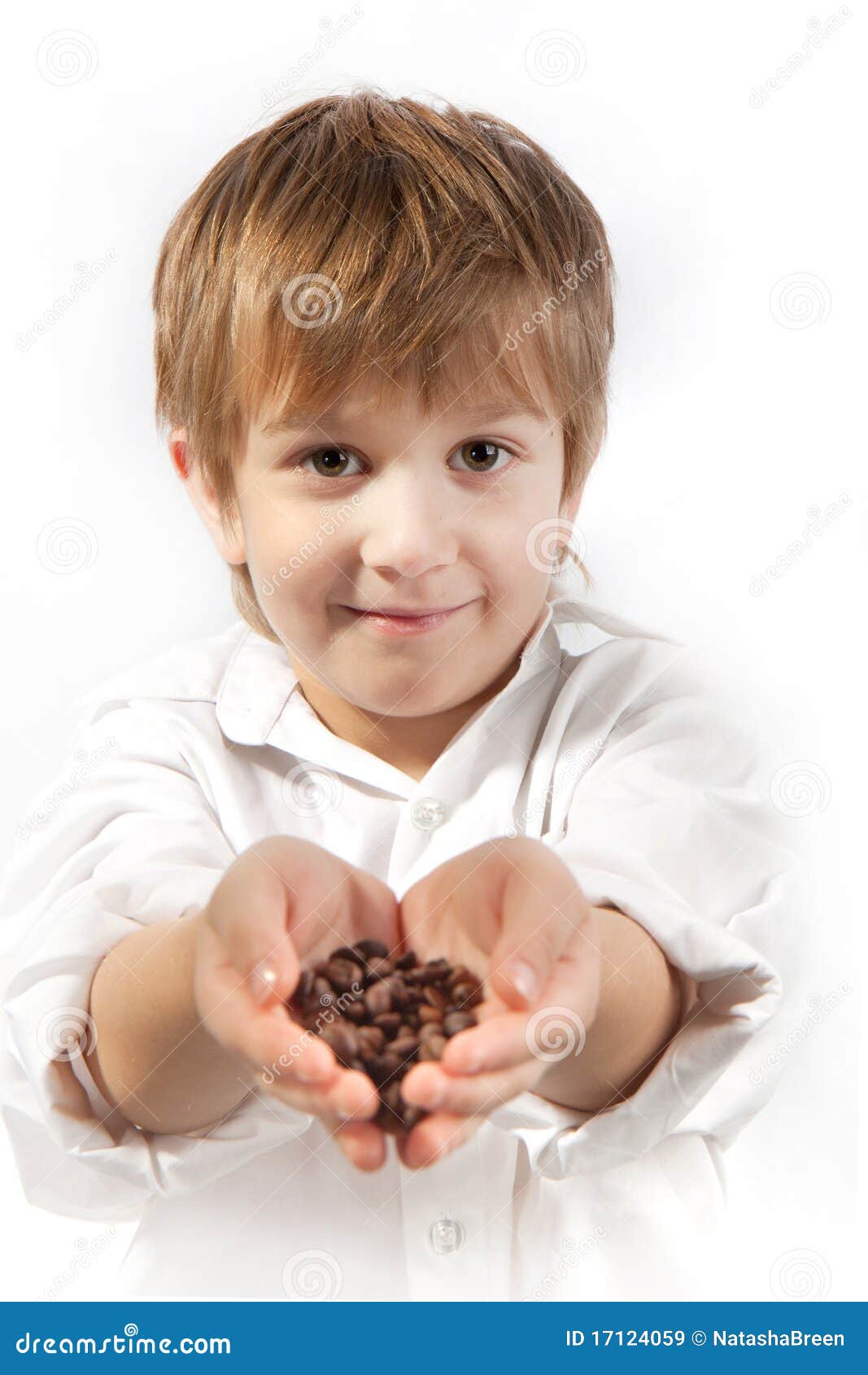 Little Boy with Coffee Beans Stock Image Image of eyes, portrait