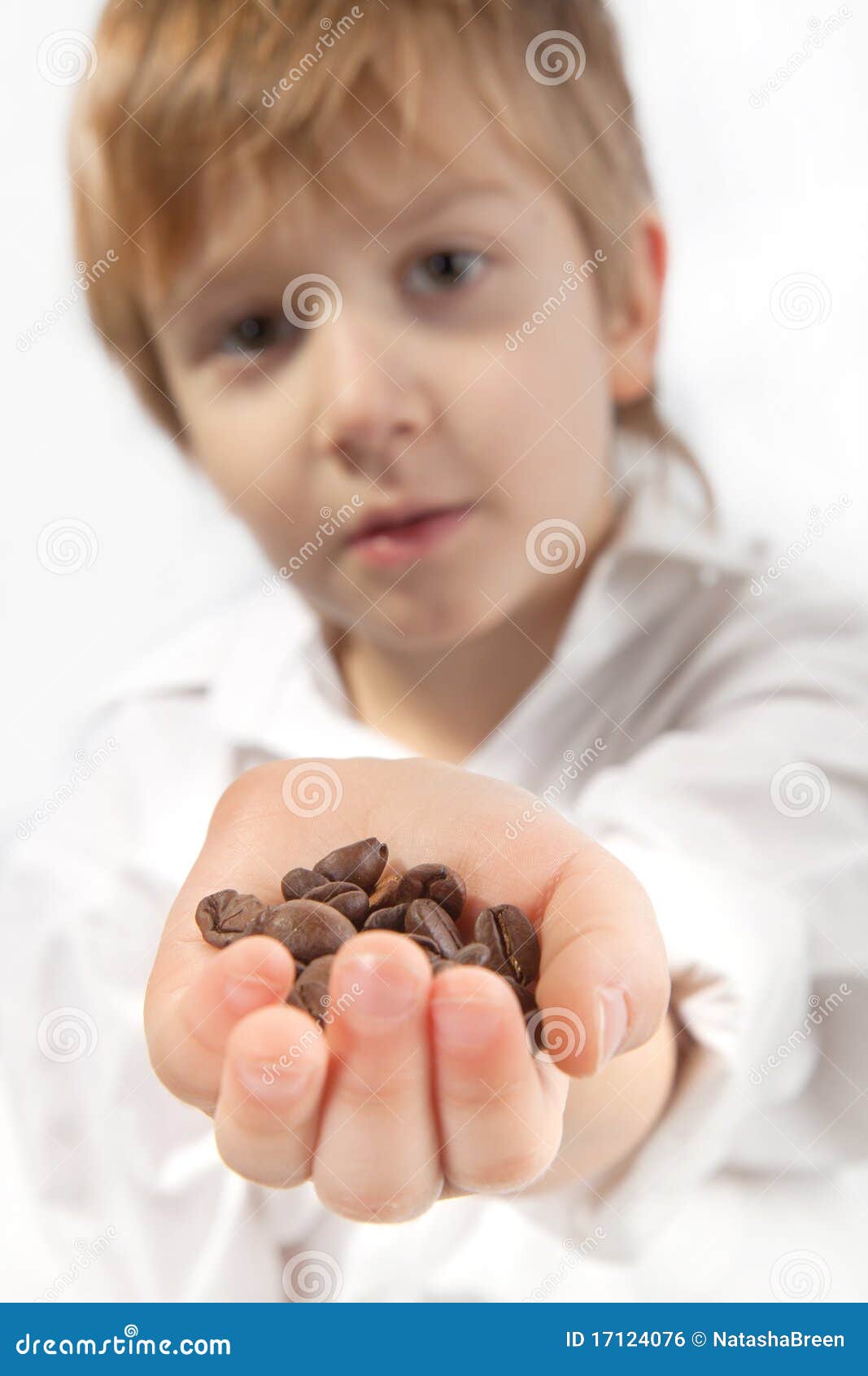 Little Boy with Coffee Beans Stock Photo Image of happy, coffee 17124076