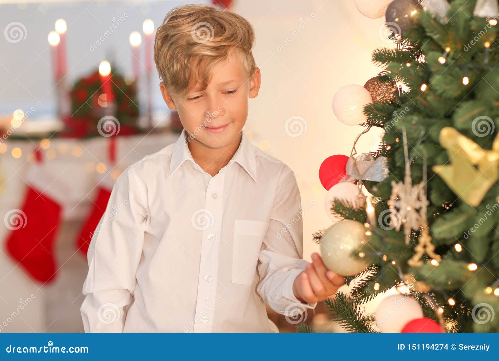 Little Boy Decorating Christmas Tree at Home Stock Photo Image of
