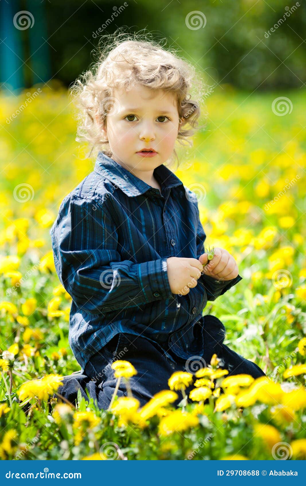 Little Boy in Flowers Field Stock Photo Image of funny, background