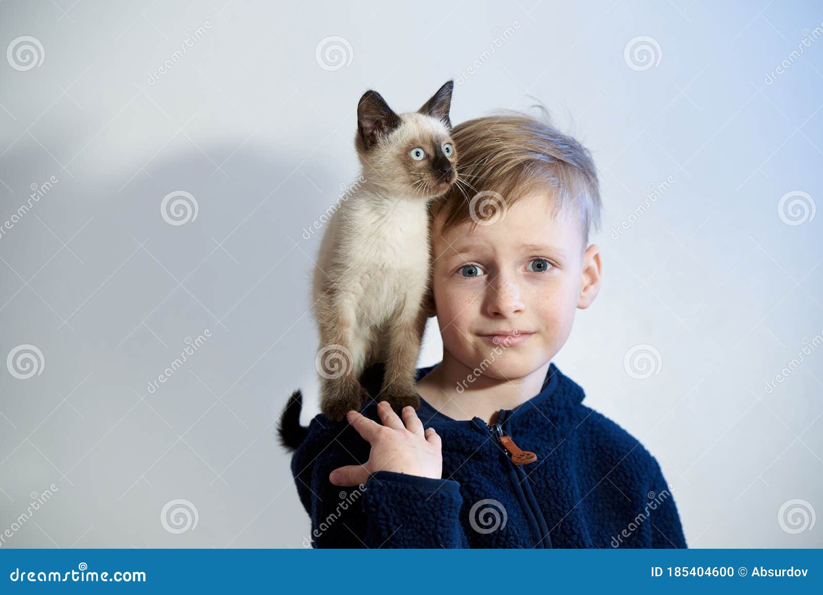 Siamese Cat, 3 Years Old And 8 Months Old, Lying RoyaltyFree Stock