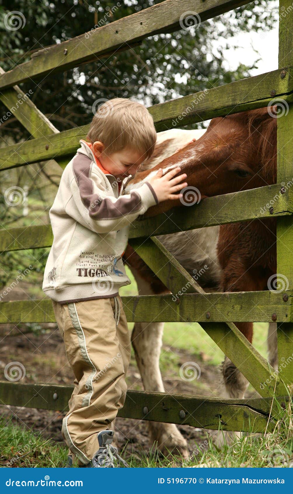 Little boy and horse stock photo. Image of farm, equestrian 5196770