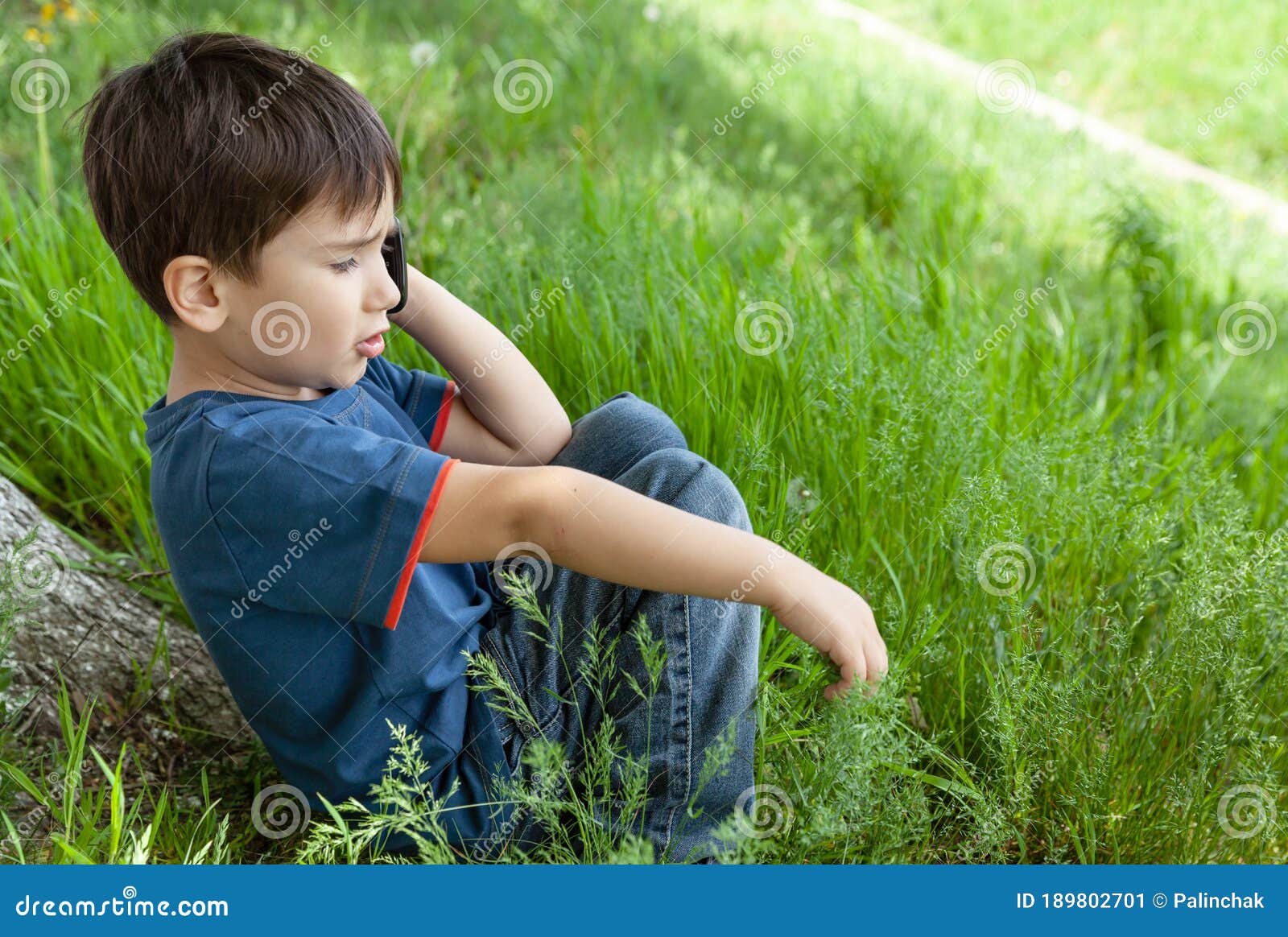 Little Boy on the Lawn among Green Grass Stock Image - Image of male ...