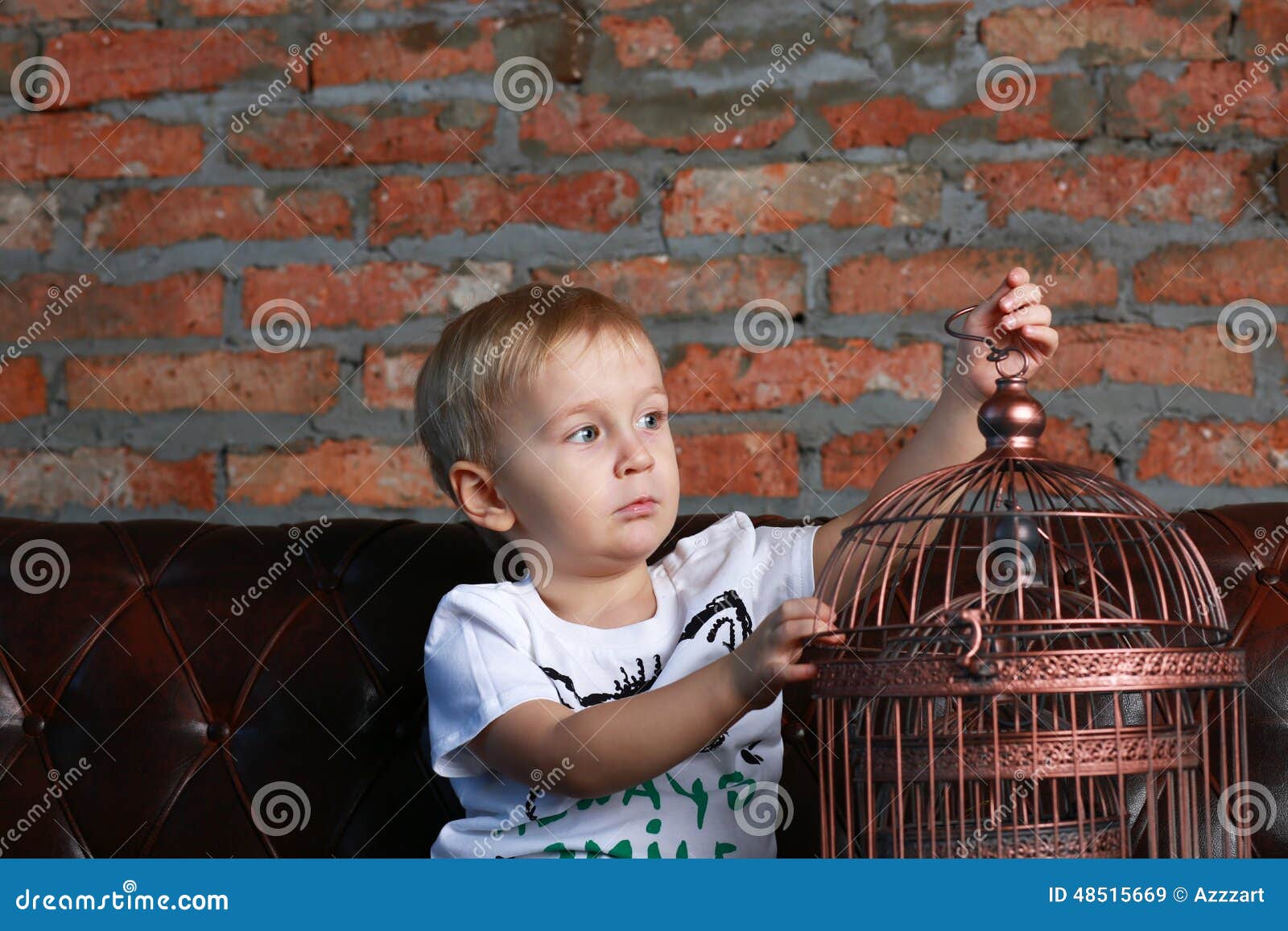 Little Boy Looking at the Bird Cage Stock Image Image of birdcage
