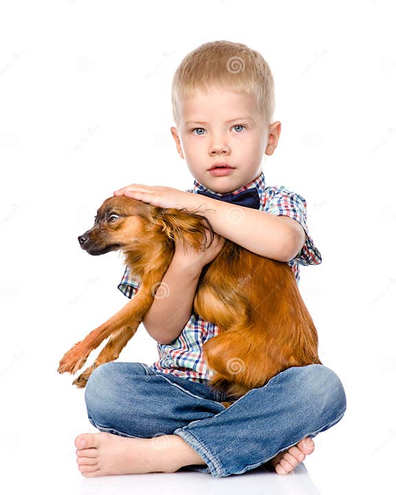 Little Boy Patting Dog Head. Isolated on White Background Stock Photo ...