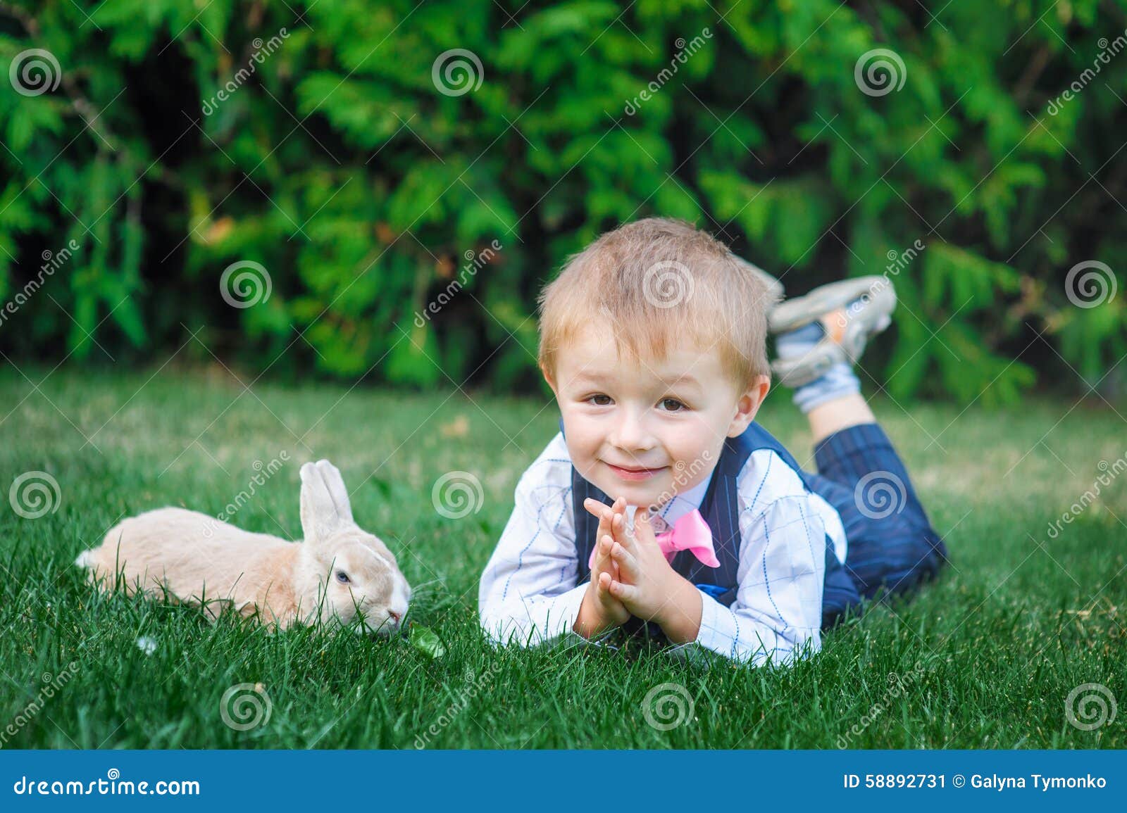 Little Boy Playing with Rabbit on Green Grass Stock Image - Image of ...