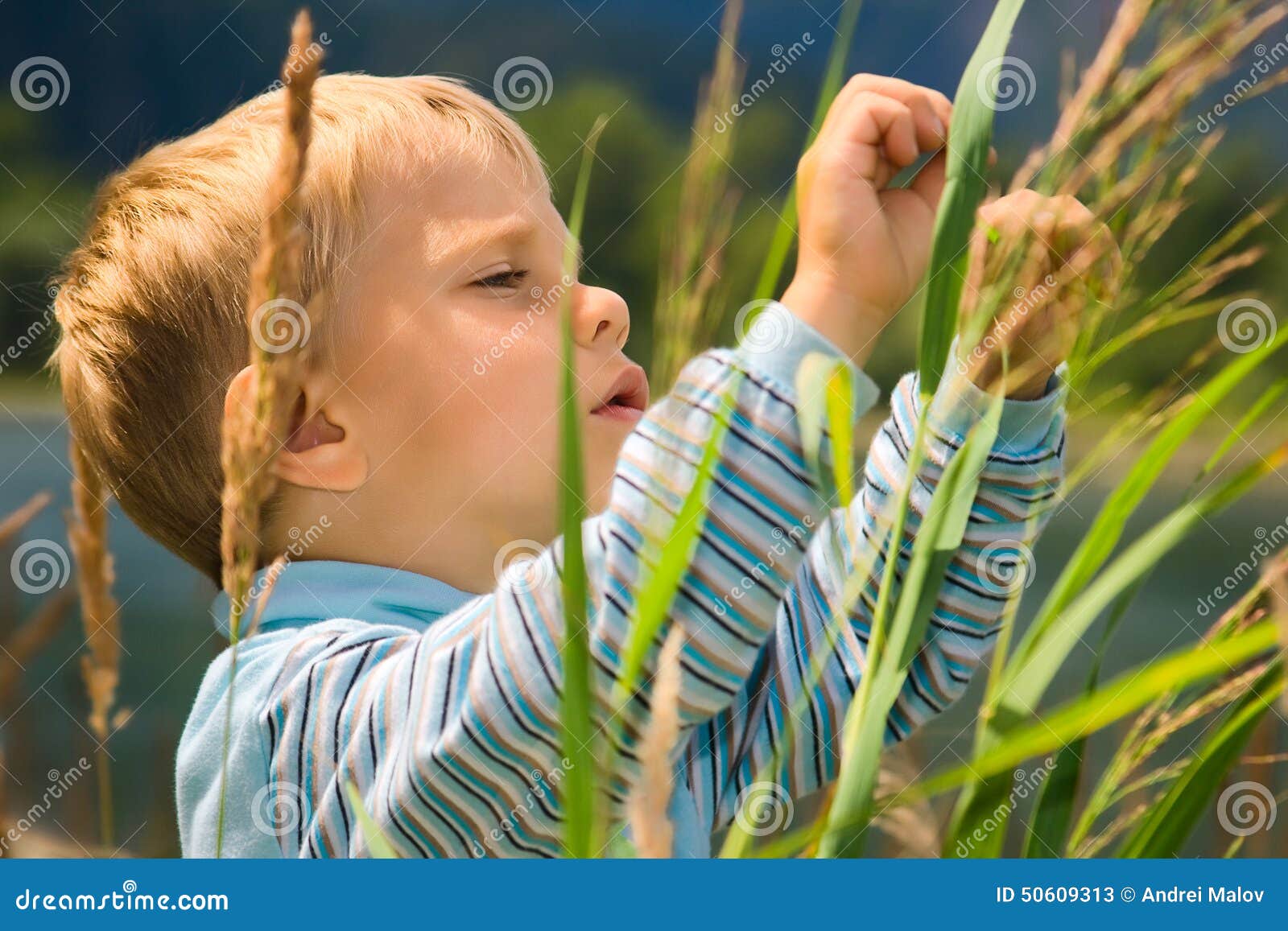 Little Boy Playing in Tall Grass Stock Image Image of relaxation