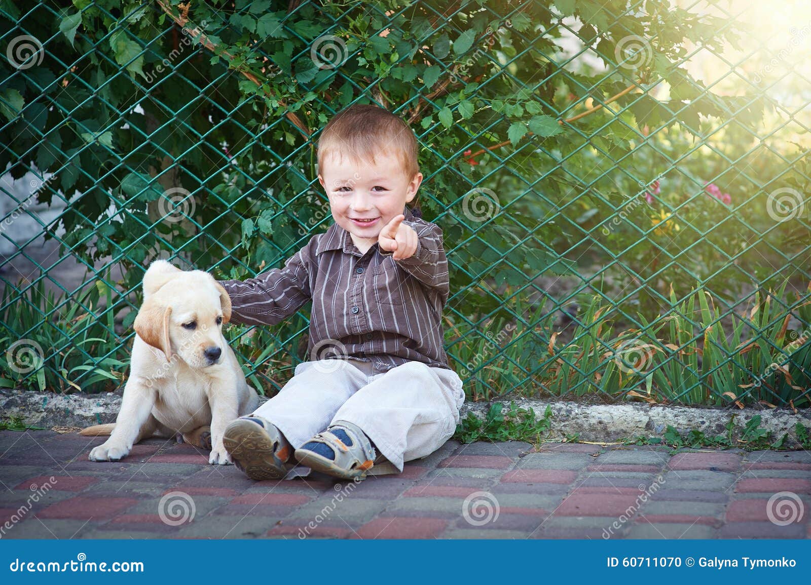 Little Boy Plays with a White Puppy Labrador Stock Photo - Image of ...