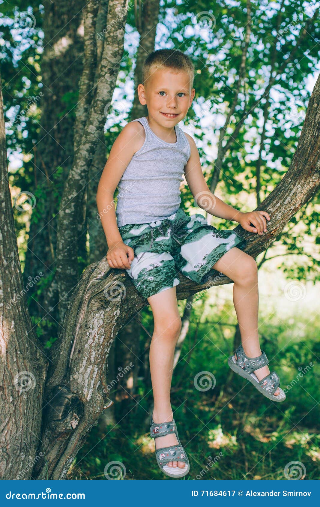 Little Boy in Shorts Sitting Up a Tree Stock Image - Image of forest ...