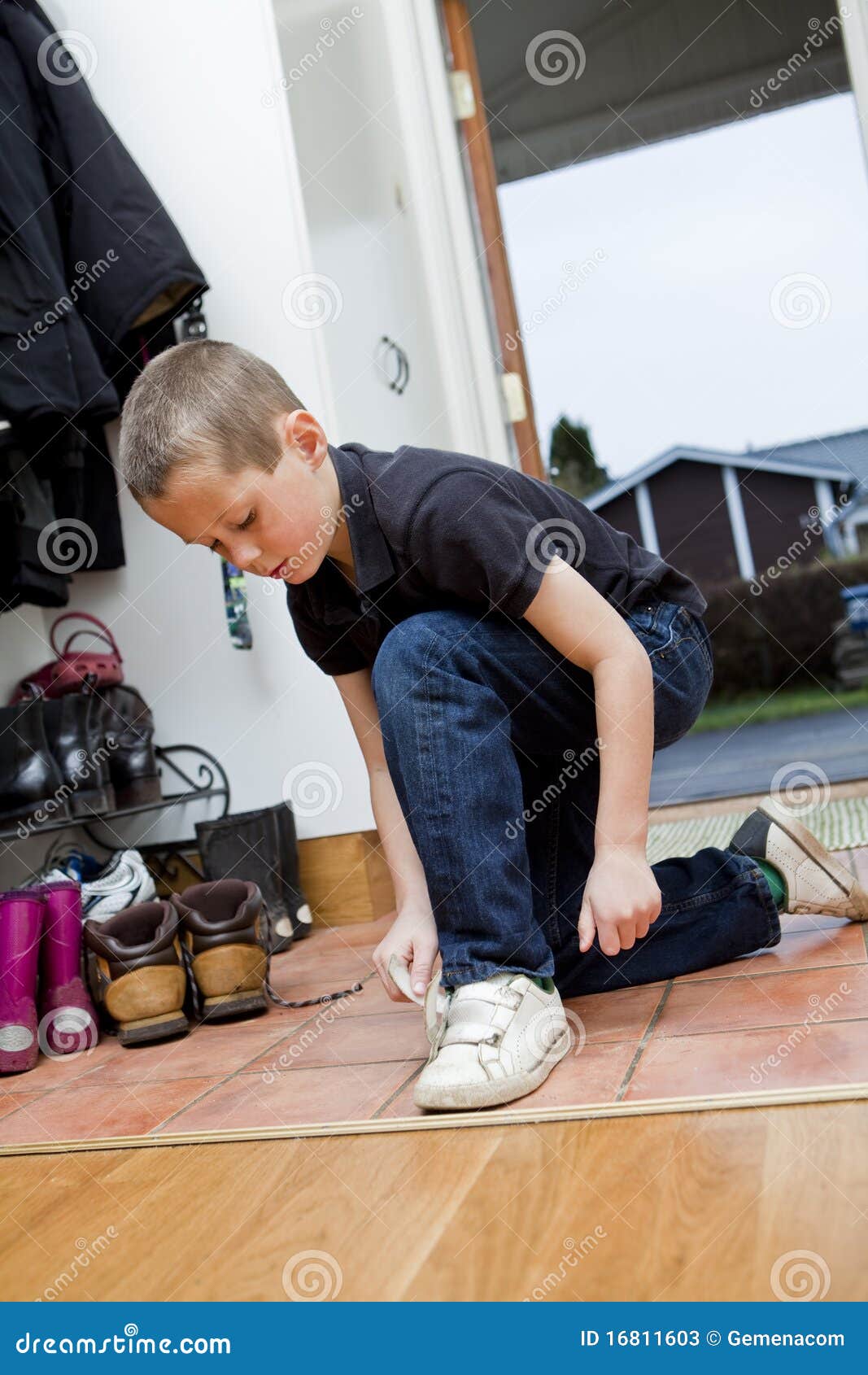 Little Boy Tying His Shoes Stock Photos Image 16811603