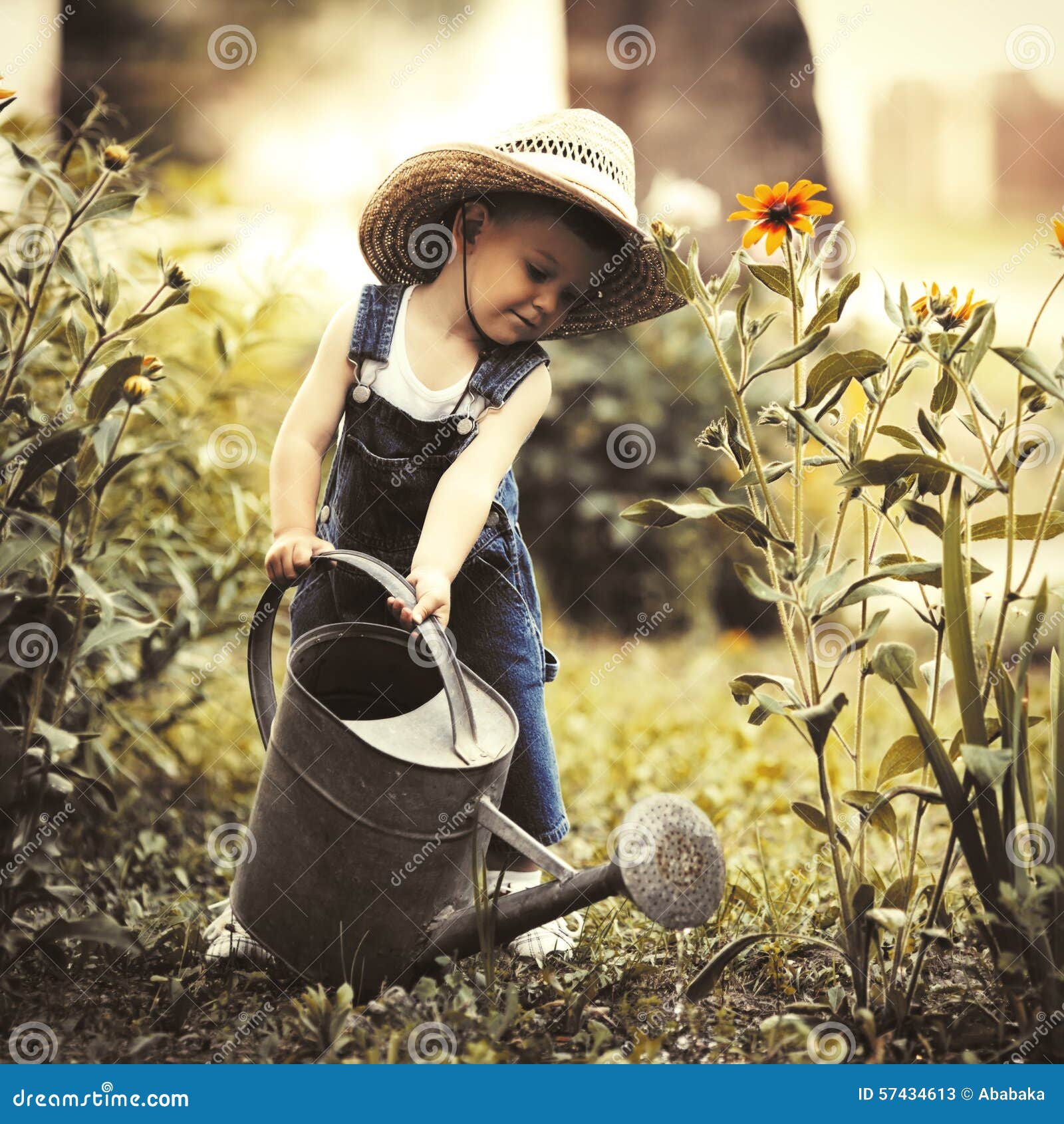 Little Boy with Watering Can in Summer Park Stock Image Image of