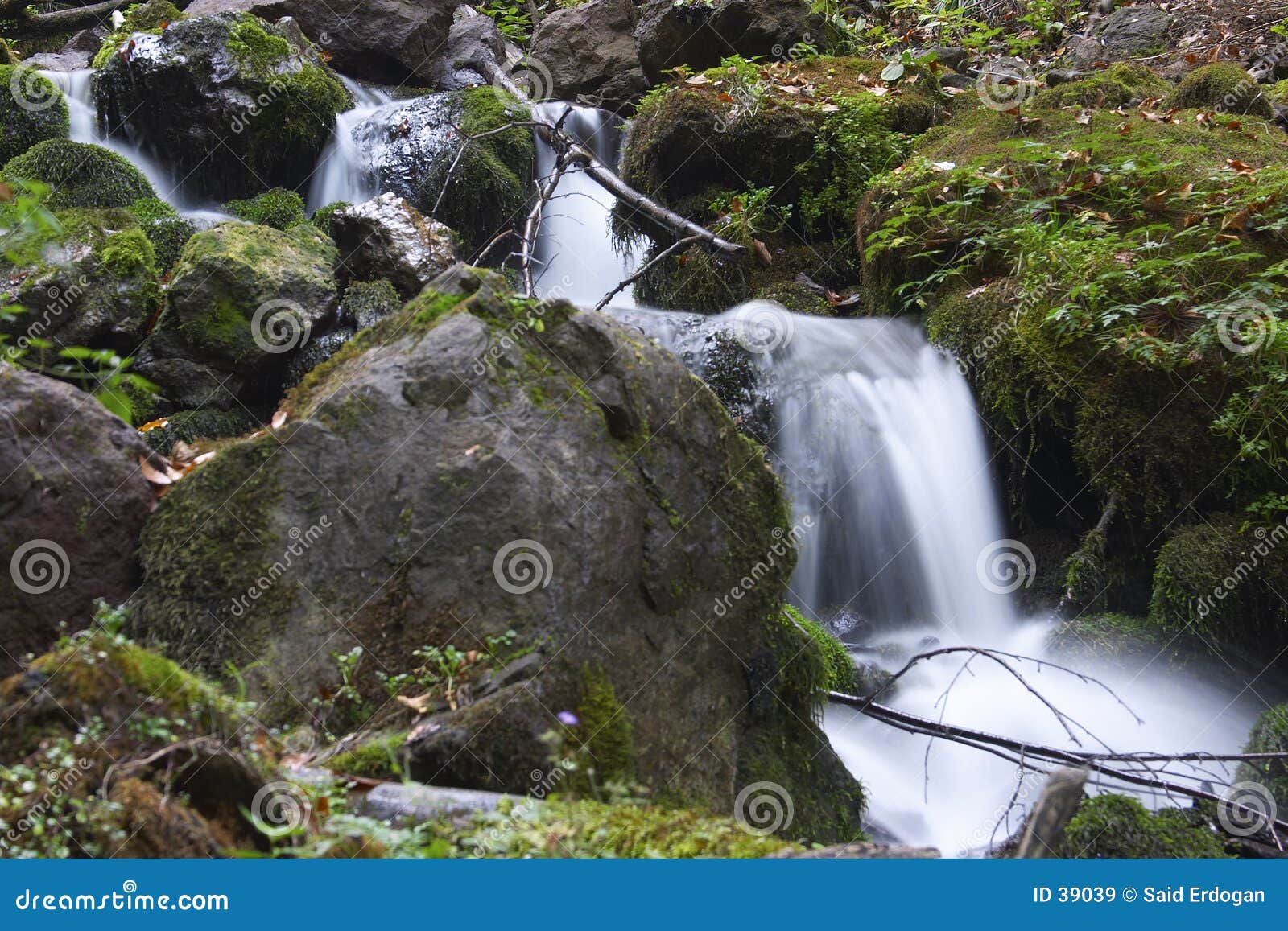 Little Brook stock image. Image of noisy, paradise, high 39039