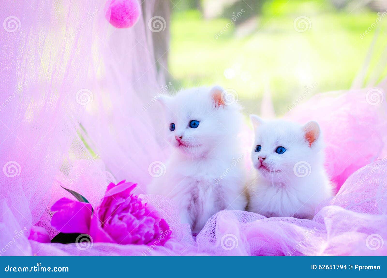 deebow aquarium light