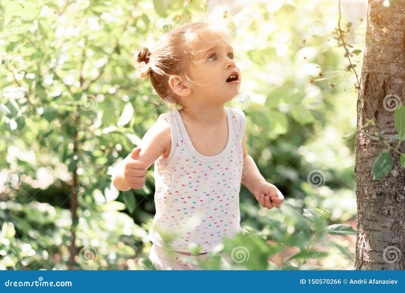 Little Caucasian Girl, Two Years Old, Gathering Unripe Cherries in ...