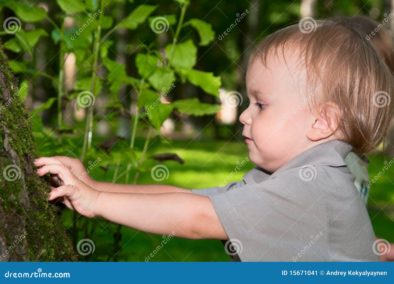 Little child near a tree stock image. Image of playful 15671041