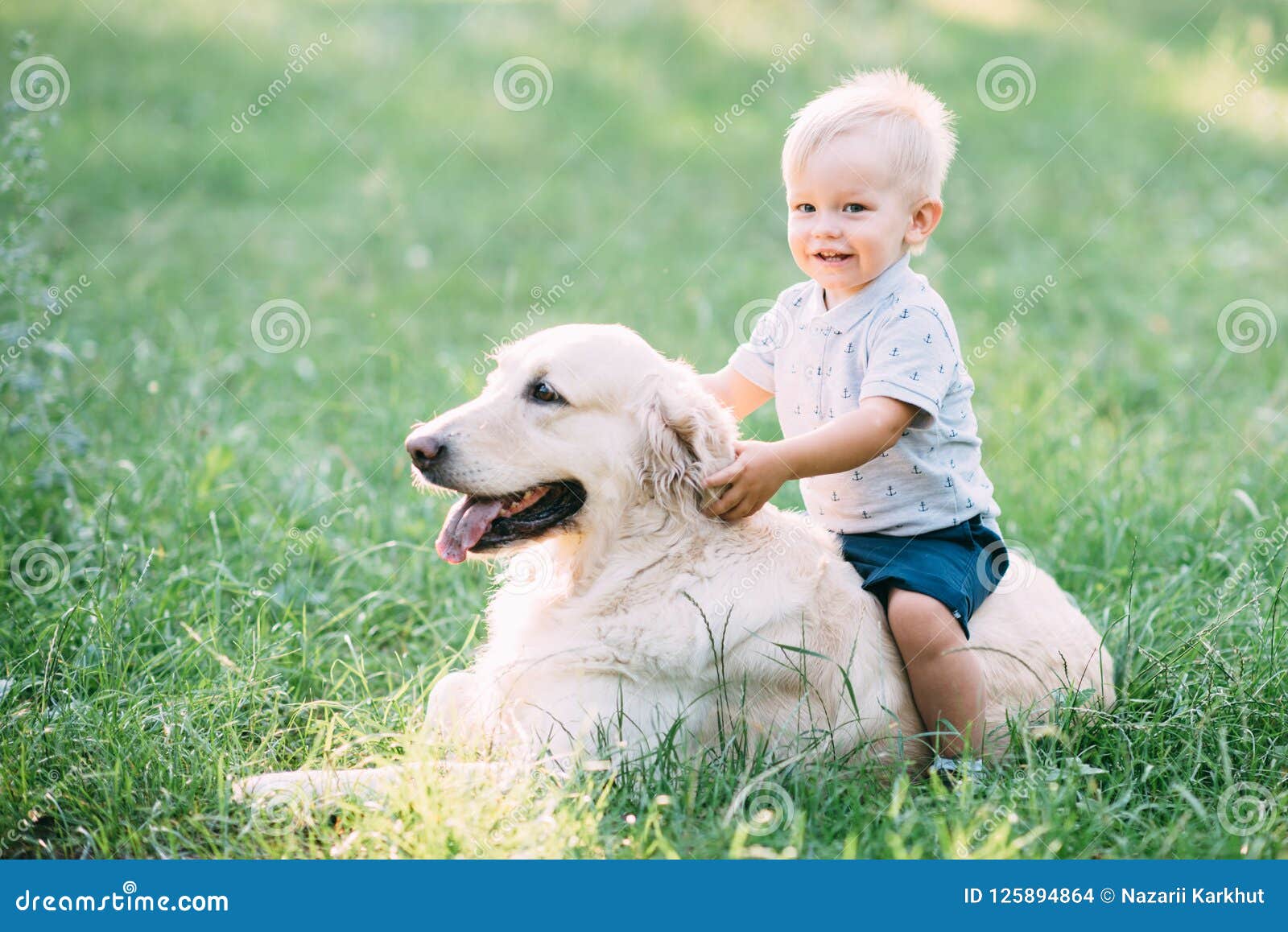 Little Child Playing with Labrador Retriever Dog Together in Wood Stock ...