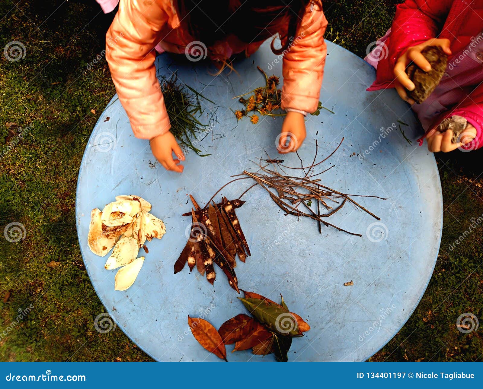 little children playing, expolring and gardening in the garden with soil, leaves, nuts, sticks, plants, seeds during a school