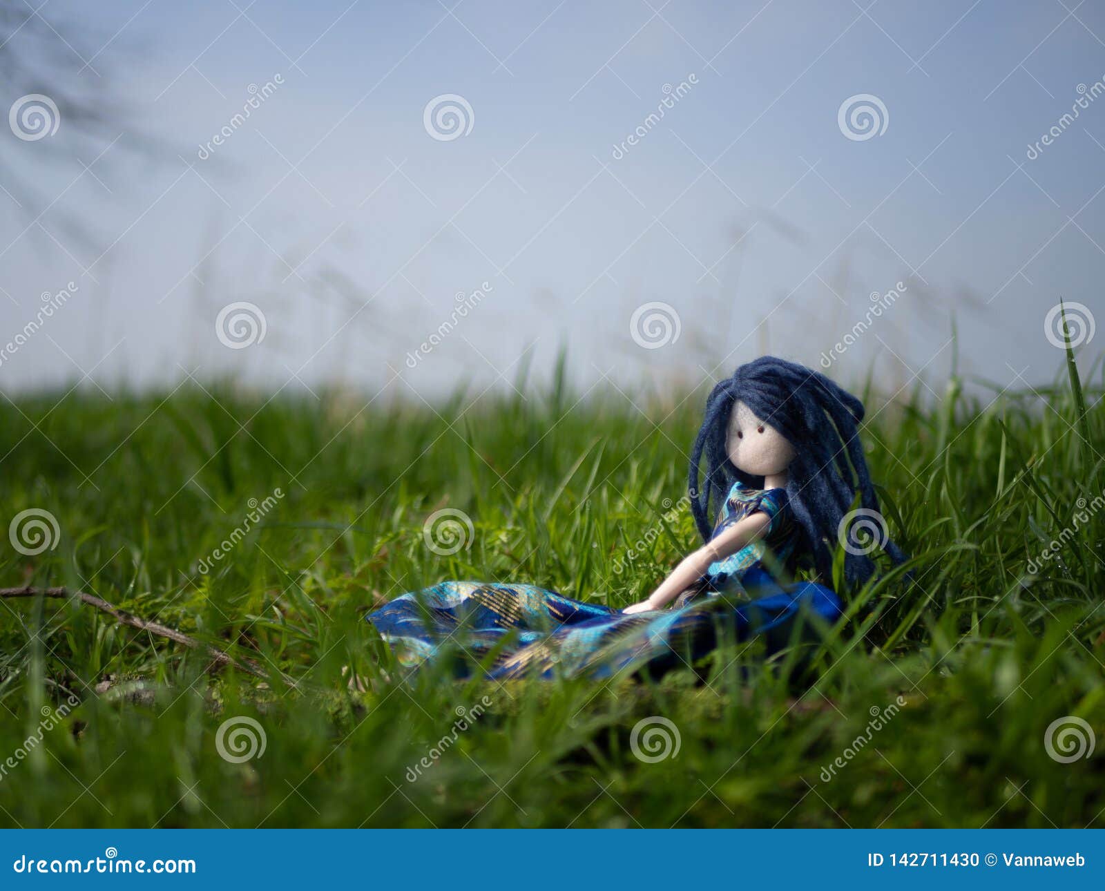 Rag Doll with Blue Hair and Flower Dress - wide 9