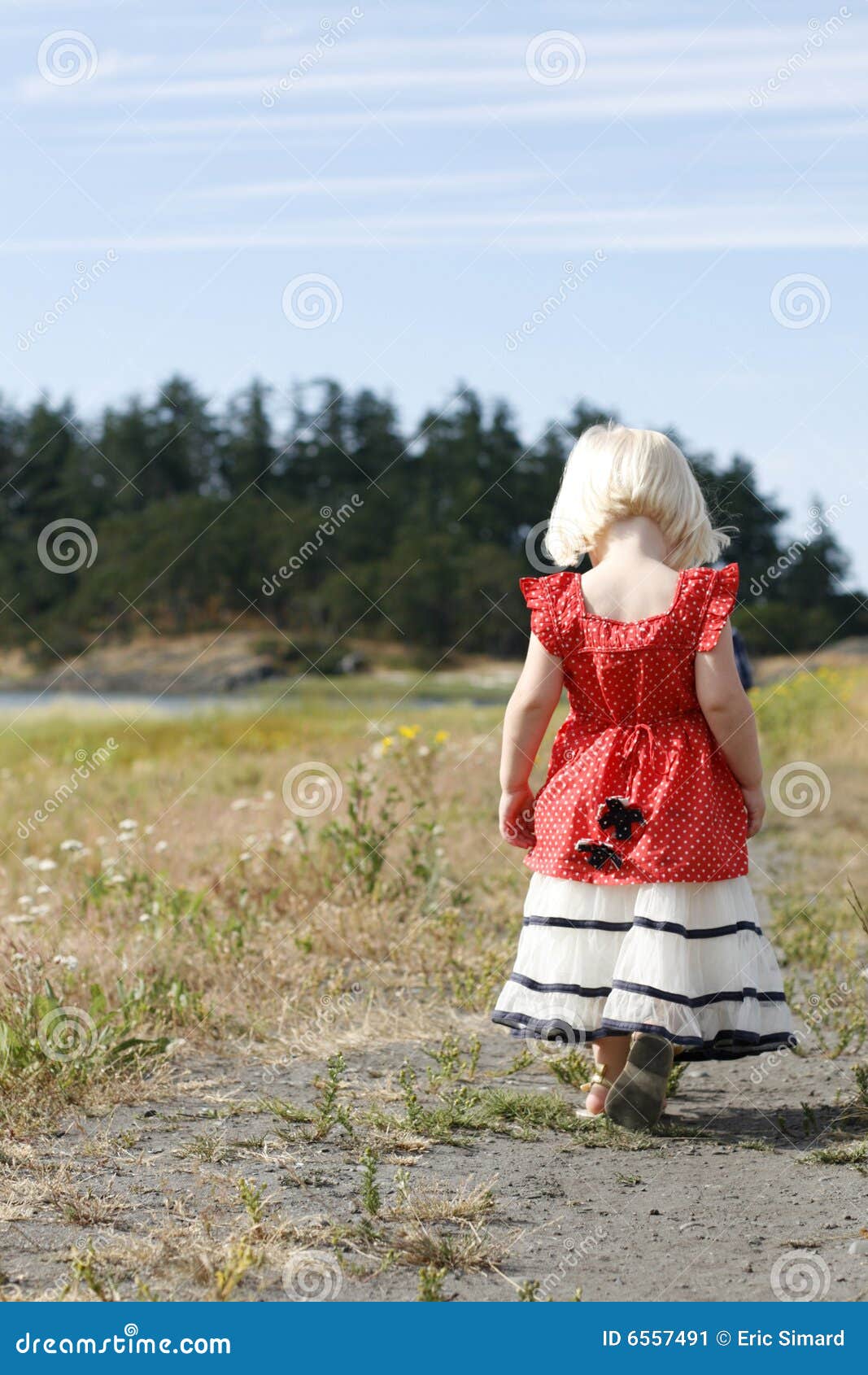 Little Country Girl Stock Image Image 6557491