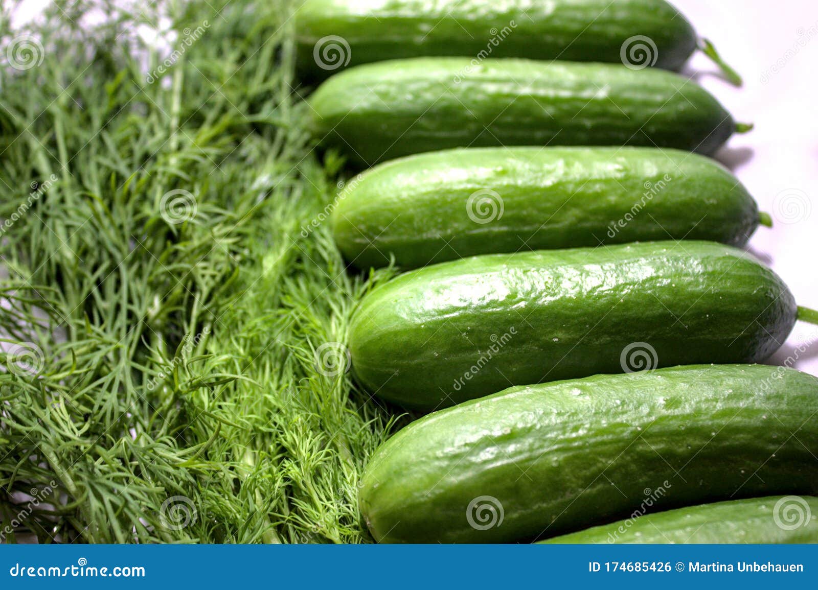 Little Cucumber and Fresh Dill Stock Photo Image of salad, food 174685426