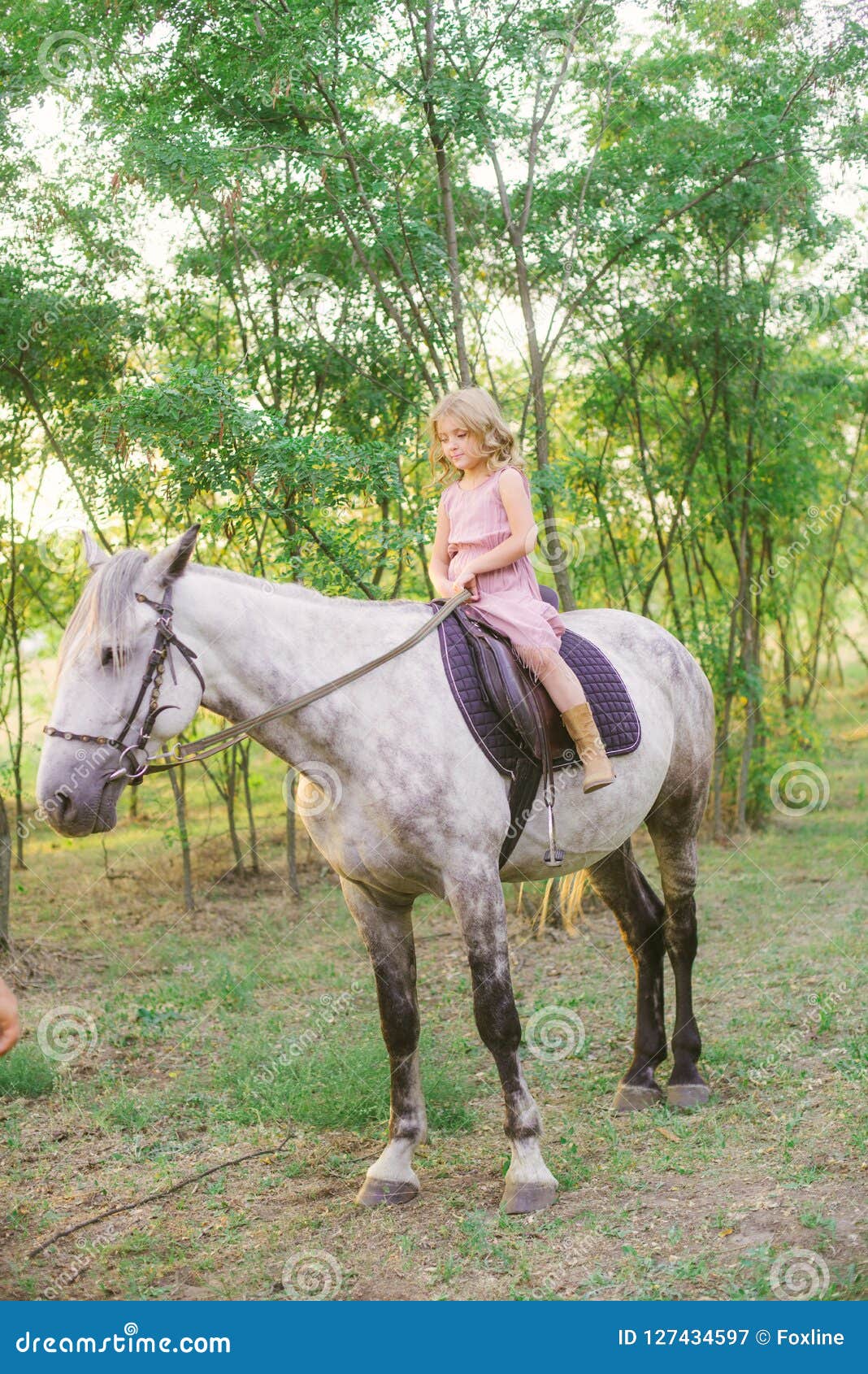 Little Cute Girl with Light Curly Hair in a Straw Hat Riding a Horse at ...