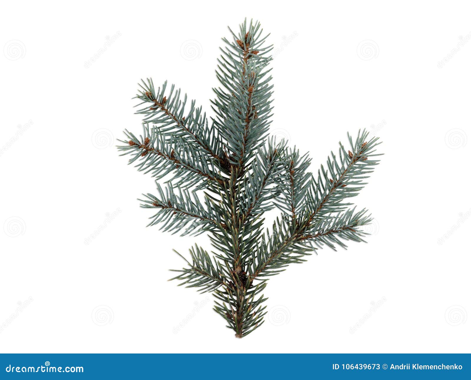 Download Little Decorative Christmas Tree Isolated White Stock Image Image of christmas