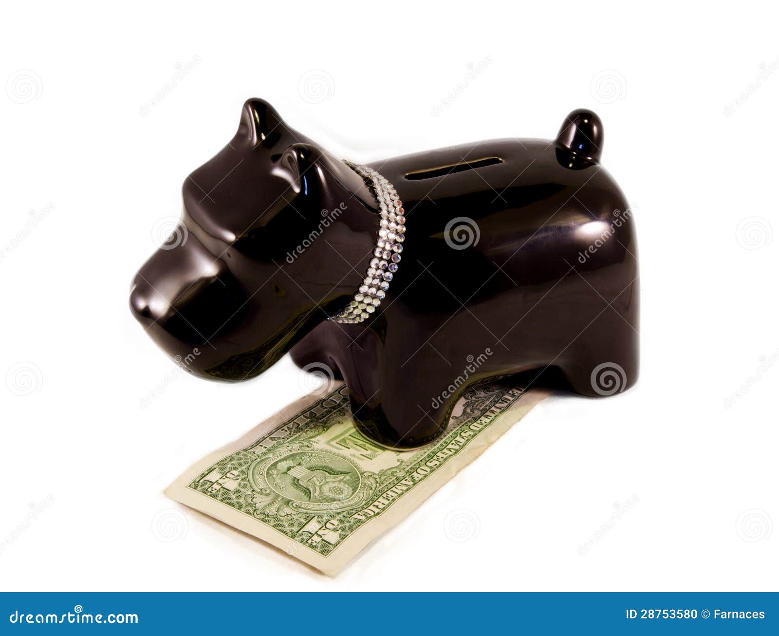 little dog moneybox